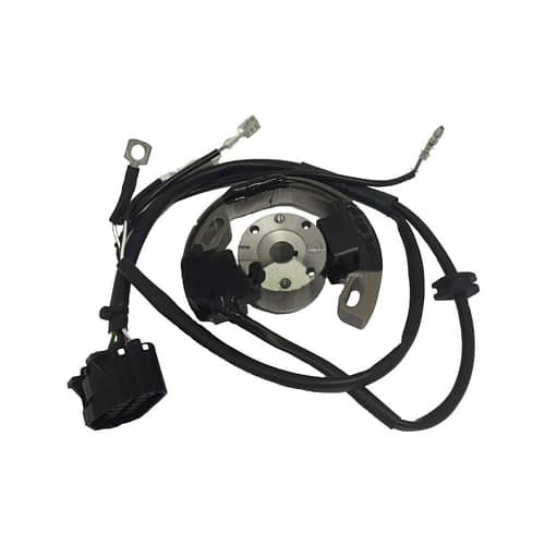 Süüde TM60/ Selettra