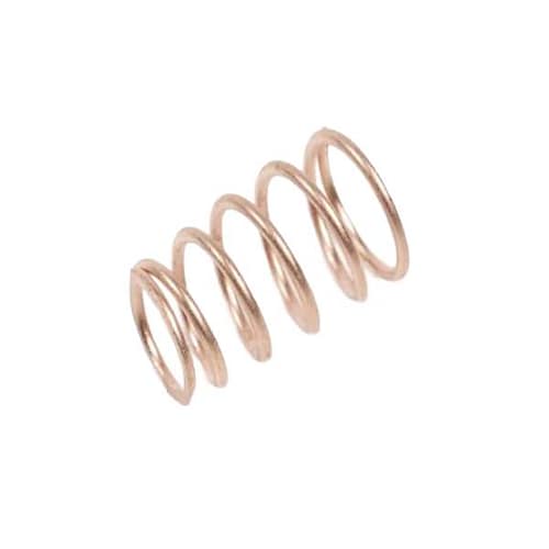 Rotax Max/DD2 termostaadi vedru