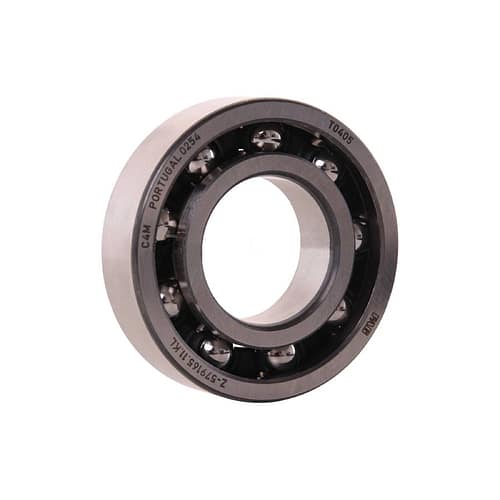 Vändalaager FAG 6206, Max/DD2